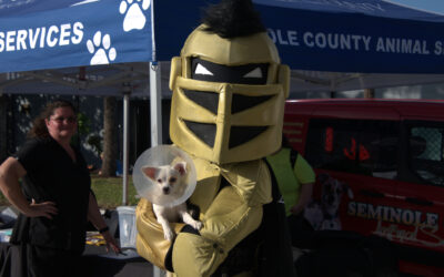 UCF softball offers pet adoption opportunities at ‘Pups at the Plex’