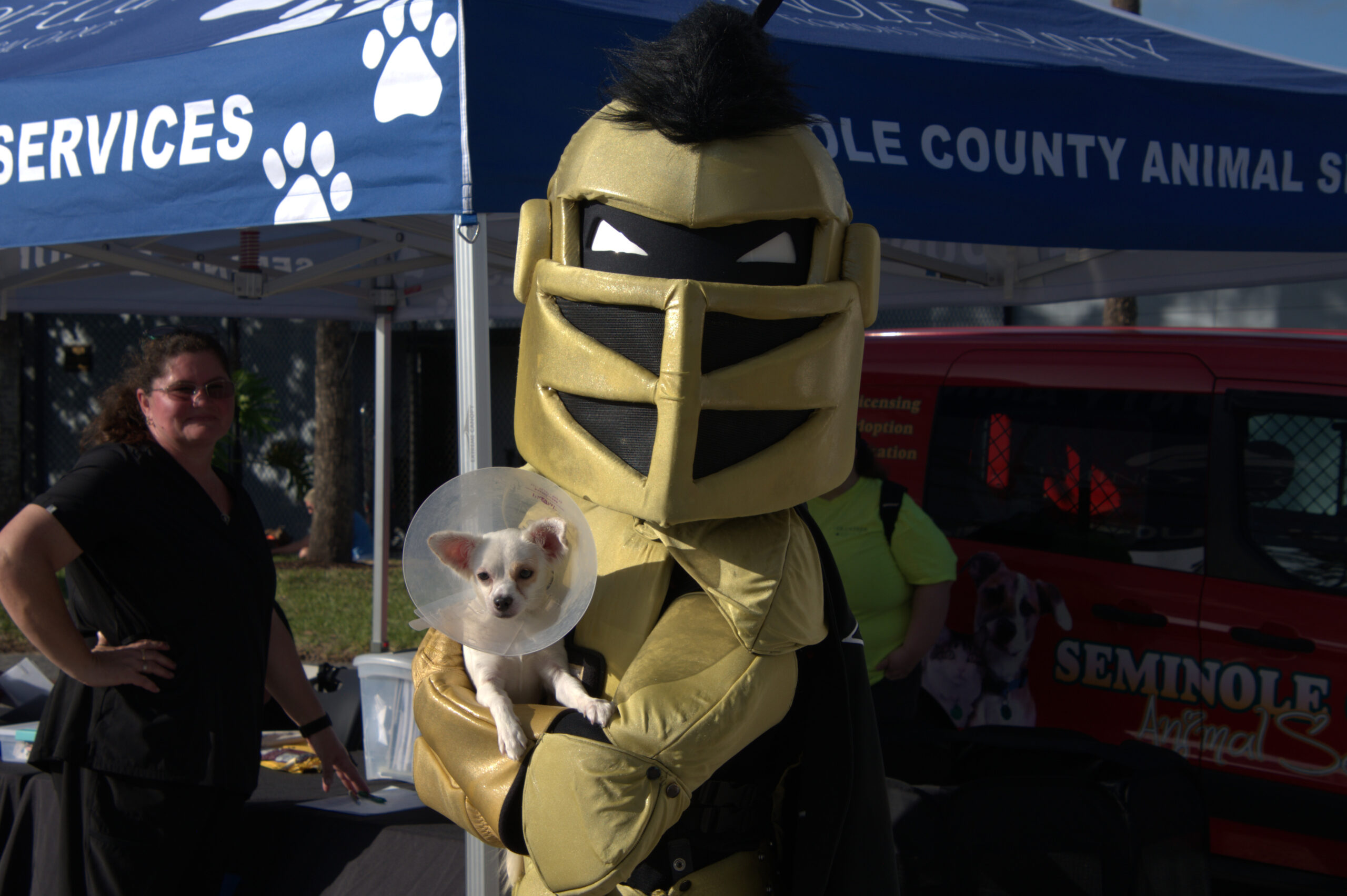 UCF softball offers pet adoption opportunities at ‘Pups at the Plex’
